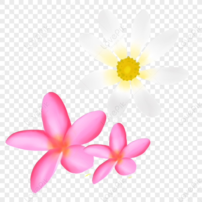 Bạn đang tìm kiếm một thiết kế hoa chất lượng cao với định dạng PNG? Hãy tham khảo ngay bộ sưu tập hoa PNG miễn phí và đẹp mắt này. Nó sẽ giúp bạn thêm sức sống cho các dự án của mình một cách dễ dàng!