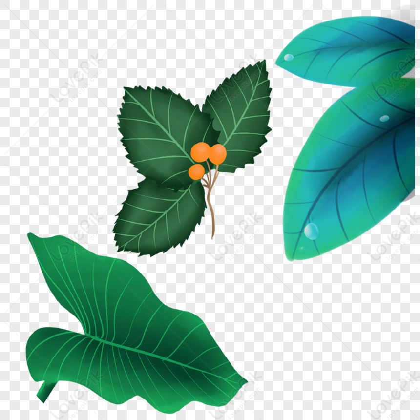 Green Plant Leaves Png Transparent Background And Clipart Image For Free Download Lovepik