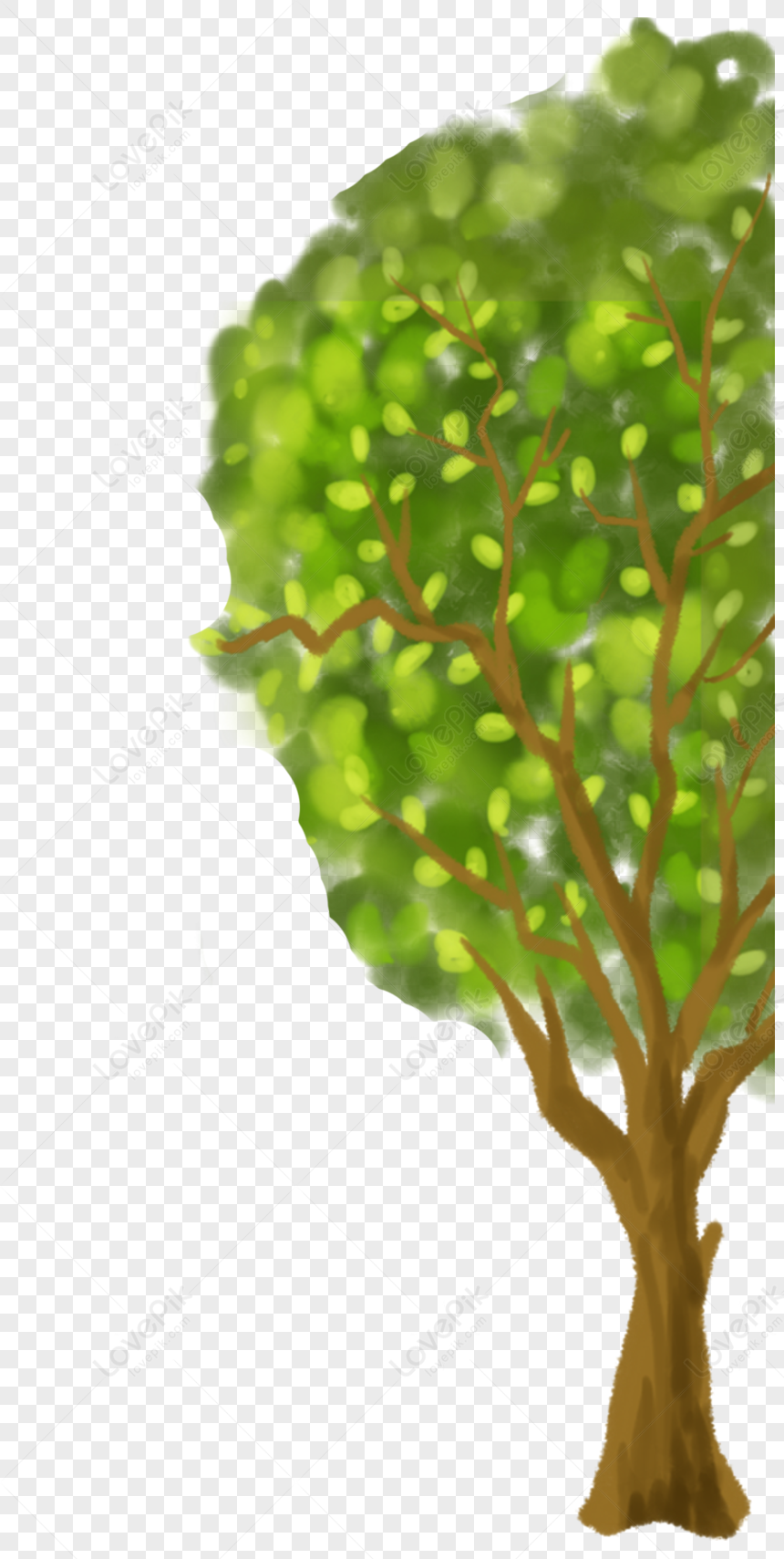 Green Trees, Gray Green, Green White, Brown Green PNG Transparent ...