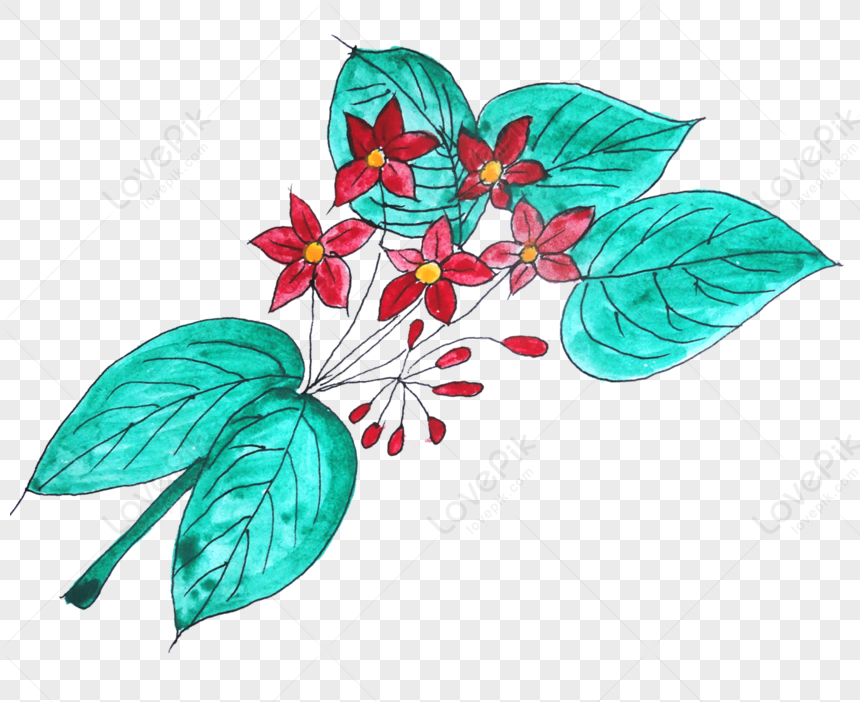 Hand Painted Flowers, Flowers Green, Flowers Red, Flower Flowers PNG Hd ...