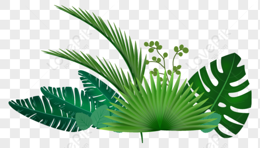 Leaves PNG Images With Transparent Background | Free Download On Lovepik