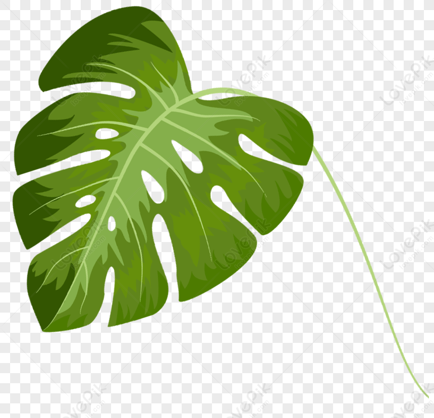 Hand Painted Leaves PNG White Transparent And Clipart Image For Free ...