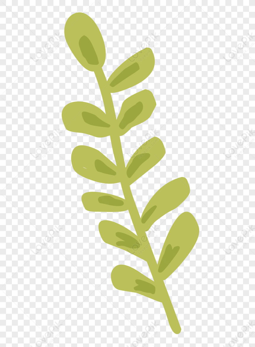 Plant Leaves Plant Transparent Leaf Plant Green Plant PNG Transparent Background And Clipart