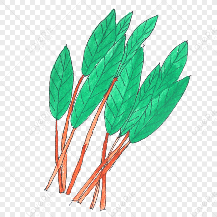 Plant Leaves, Leaf Red, Leaves Transparent, Leaf Vegetable PNG Image ...