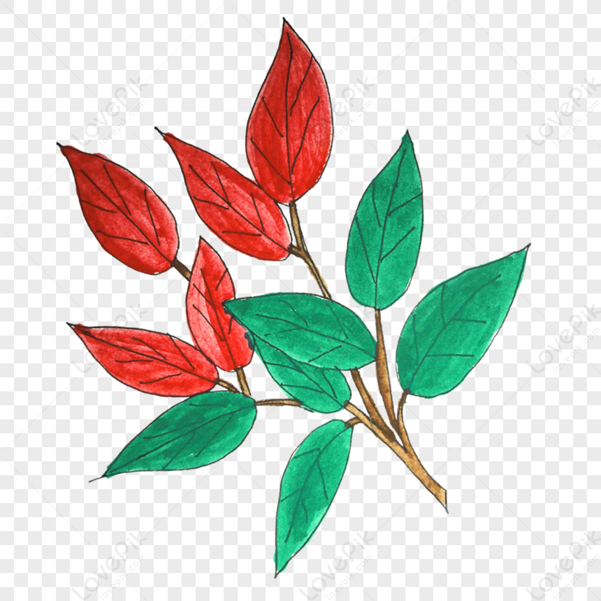 Plant Leaves PNG Transparent Background And Clipart Image For Free ...