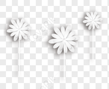 83000+ Fleurs Blanches Images PNG Avec Fond Transparent | Téléchargement  Gratuit Sur Lovepik