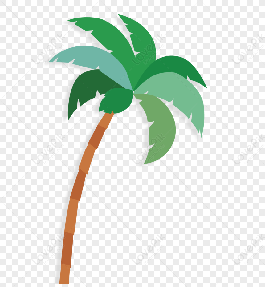 Coconut Tree PNG White Transparent And Clipart Image For Free Download ...
