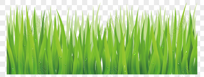 Green Grass PNG Images With Transparent Background | Free Download On  Lovepik