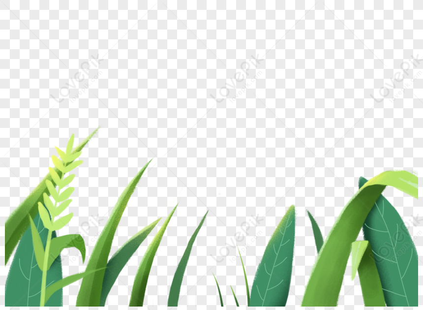 Plant Grass, Grass Green, Grass Vector, Grass Pattern PNG Image Free ...