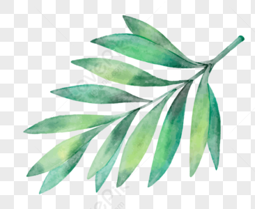 Plant Leaves PNG Images With Transparent Background | Free Download On ...