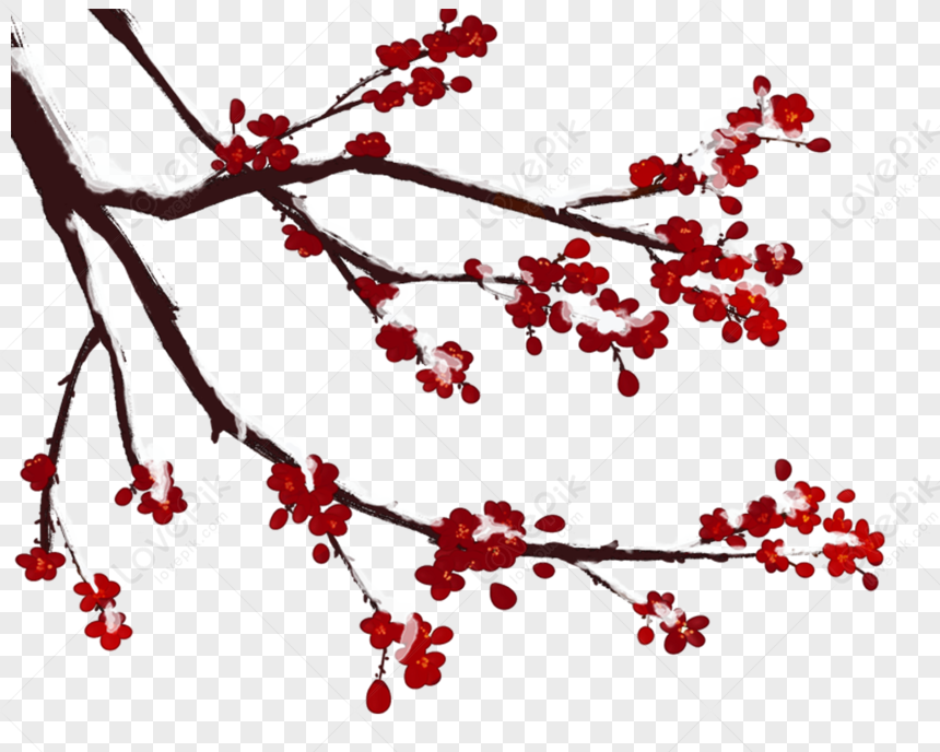 Plum Blossom, Dark Flower, Cherry Red, Dark Red Free PNG And Clipart ...