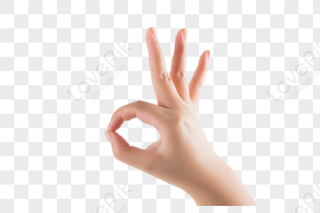 Single Hand Gestures PNG Images With Transparent Background | Free ...