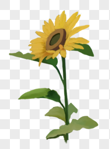 Sunflower Icon PNG Images With Transparent Background | Free Download On  Lovepik