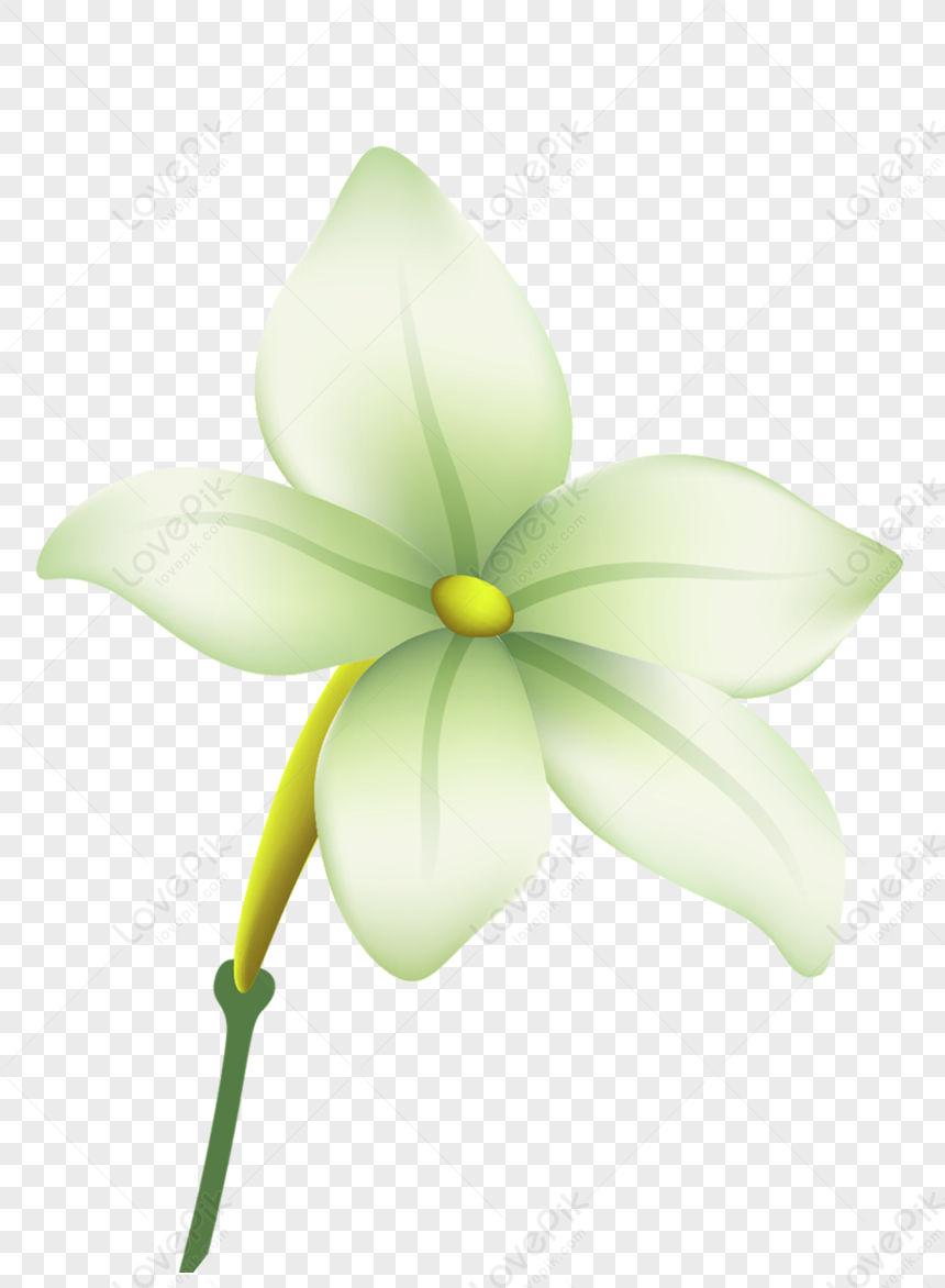 Transparent Painted Flowers Pics PNG Transparent Image And Clipart ...