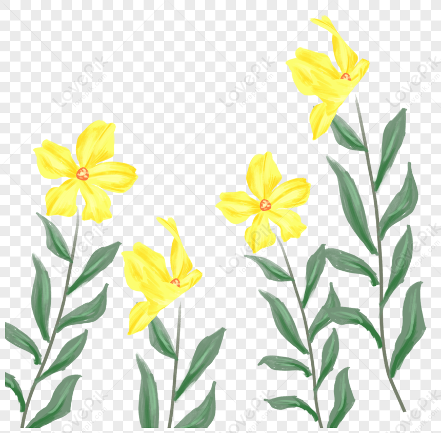 Photo de Plante à Fleurs Jaunes, jaune, fleur, plante Graphique images free  download - Lovepik | 400368706