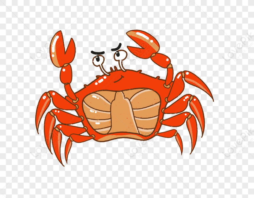 Hairy Crabs, Light Red, Cartoon Crab, Cartoon Orange PNG Transparent ...