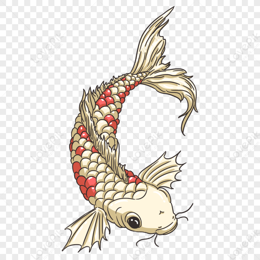 Carp Element, Light Red, Koi Vector, Light Vector Free PNG And Clipart ...