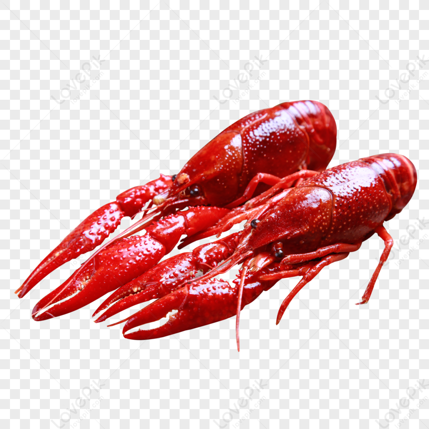 Crayfish, Dark Red, Food Seafood, Crawfish Icon PNG Free Download And ...