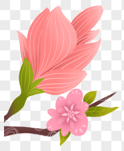 Las Flores PNG Imágenes con Fondo Transparente | Descarga Gratuita en  Lovepik.com