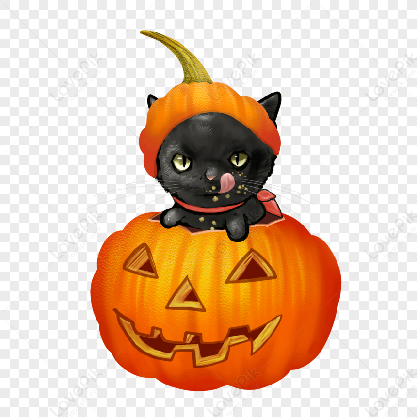 Mão De Halloween Desenhado Gato Preto Desenho Bonito Horror Elem PNG  Imagens Gratuitas Para Download - Lovepik