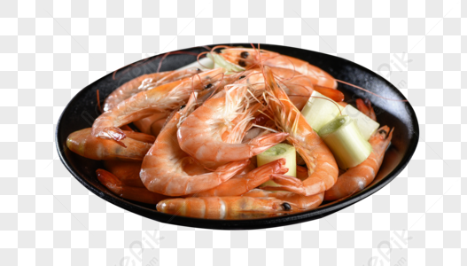 Sea Shrimp Images, HD Pictures For Free Vectors & PSD Download 