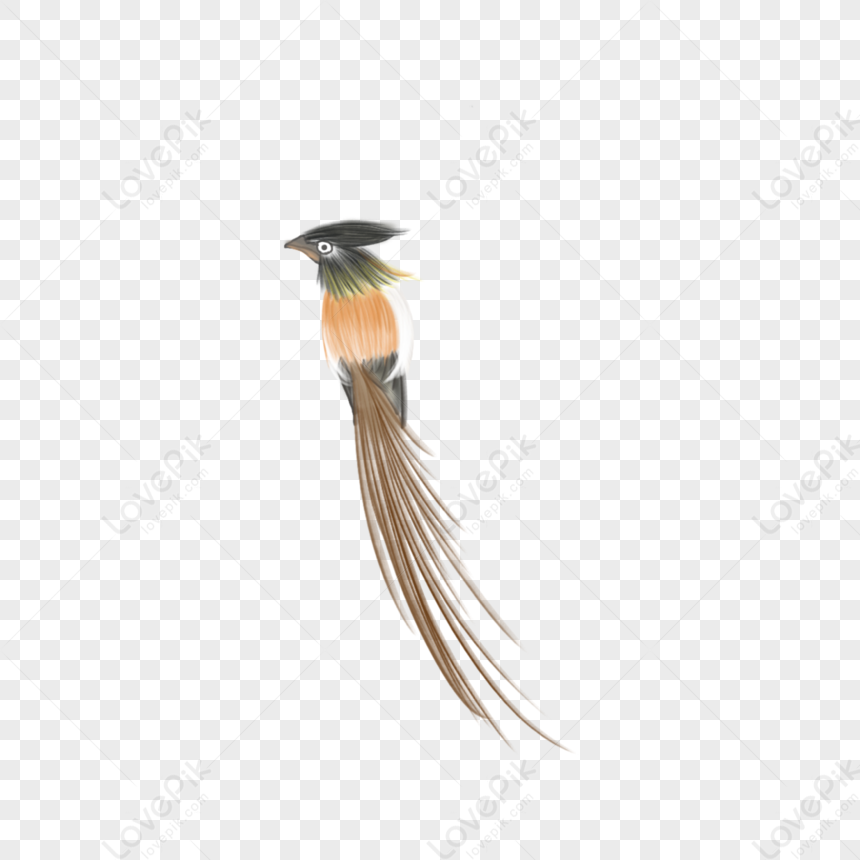 Bird PNG Transparent Image And Clipart Image For Free Download ...