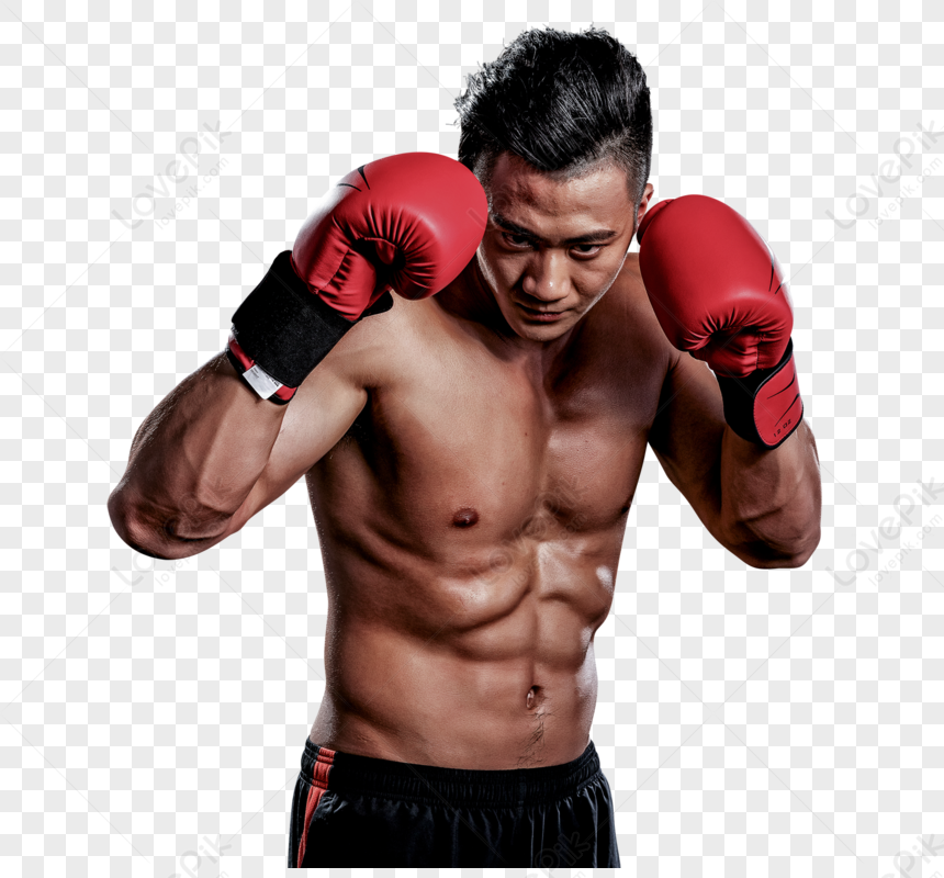 Boxing, Boxing Man, Boxing Gloves, Material PNG Transparent Background ...