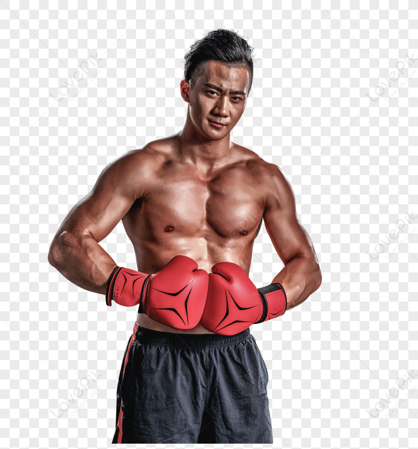 Boxing PNG Transparent And Clipart Image For Free Download - Lovepik ...