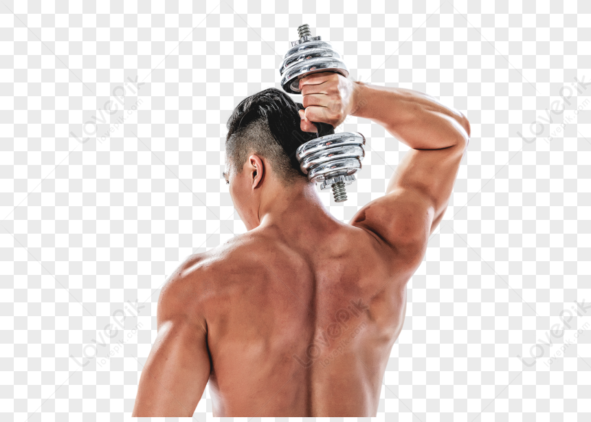 Triceps PNG