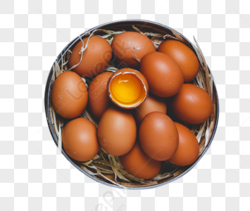 Free Range Eggs PNG Hd Transparent Image And Clipart Image For Free  Download - Lovepik