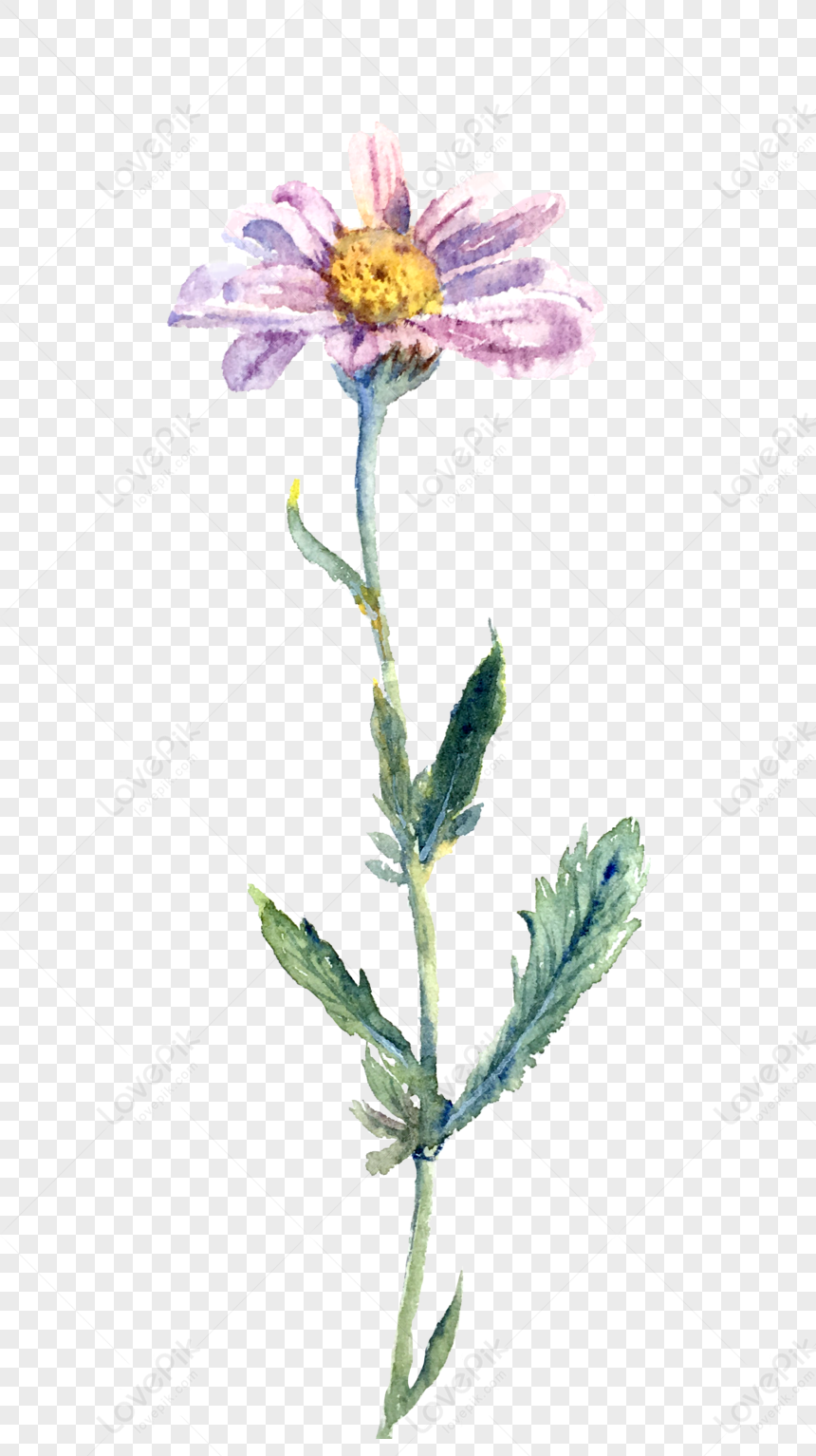 Little Wild Flowers, Dark Light, Flower Green, Pink Watercolor PNG ...