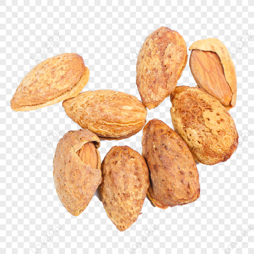 Nut PNG Picture And Clipart Image For Free Download - Lovepik | 400887015