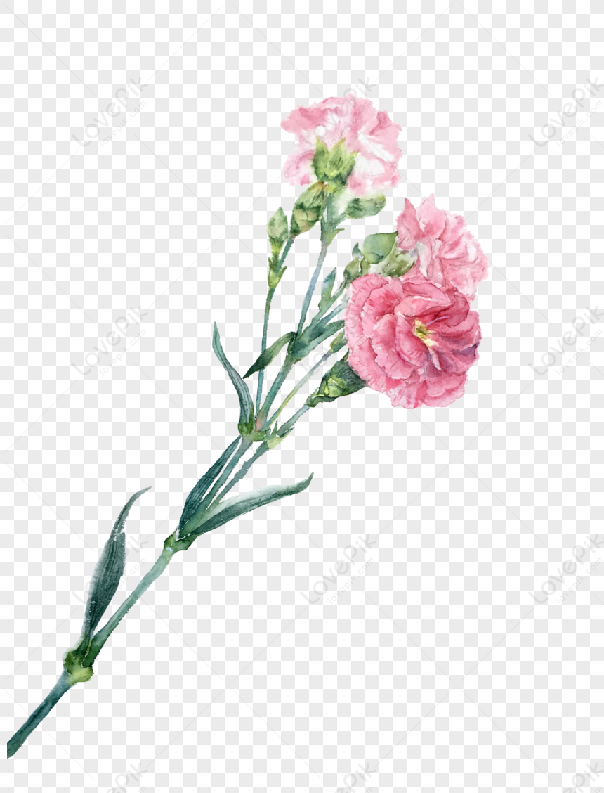 Pink Flowers PNG Transparent Background And Clipart Image For Free ...