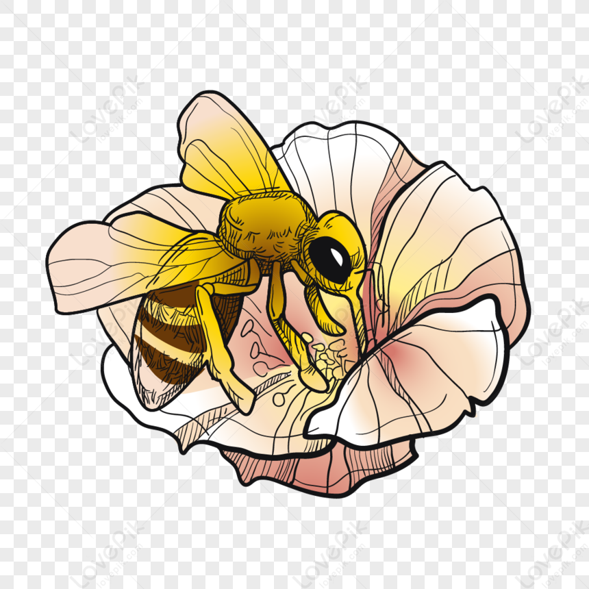 Ong Mật Thu Thập: Điểm quyến rũ của ong mật thu thập không còn xa lạ với bất kỳ ai yêu thiên nhiên. Hãy bếp lại thành phố bận rộn để tận hưởng khoảnh khắc tuyệt vời này, thưởng thức cầu vồng trên trạm thu hoạch và trầm mặc vô cùng thú vị.