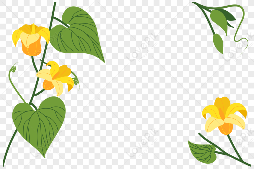 Background Frame For Pumpkin Vines, Flowers Transparent, Flowers Simple ...