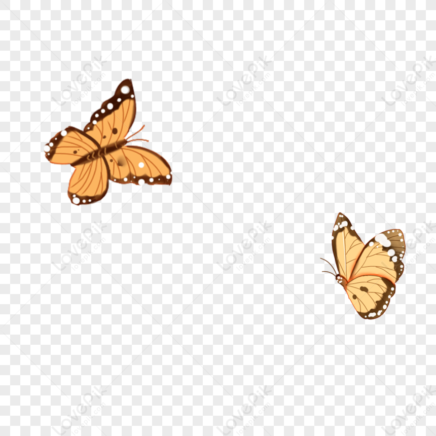 Butterfly PNG Transparent And Clipart Image For Free Download - Lovepik |  400980226