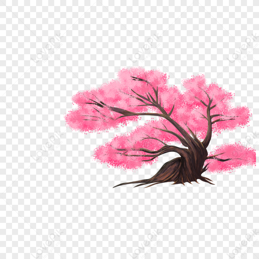 Cherry Tree, Flower Tree, Blossom Tree, Pink Tree PNG Picture And ...