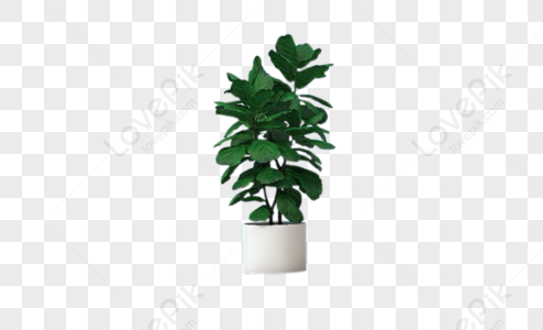 Green Plant PNG Images With Transparent Background | Free Download On  Lovepik
