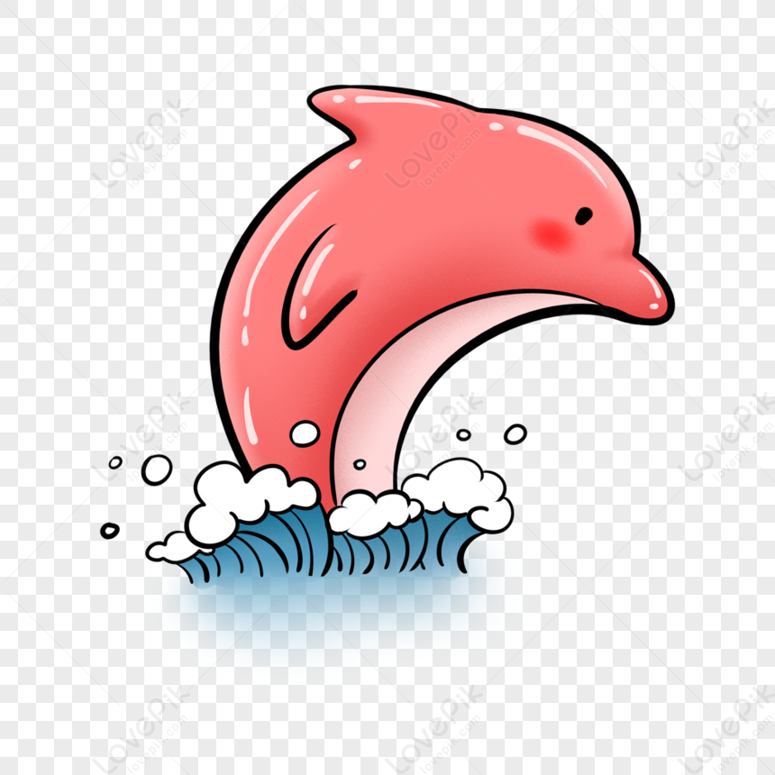 Dolphin, Dolphin Water, Cartoon Dolphin, Dolphin Icon PNG Image And ...