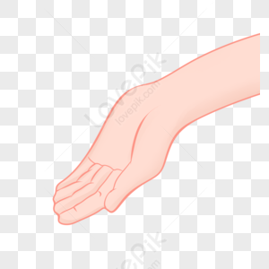 Cartoon Hand PNG Images With Transparent Background | Free Download On  Lovepik