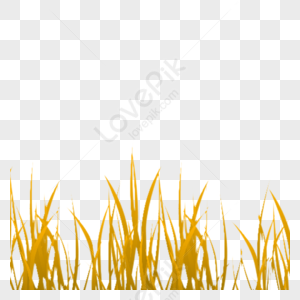 Golden Grass PNG Images With Transparent Background | Free Download On  Lovepik