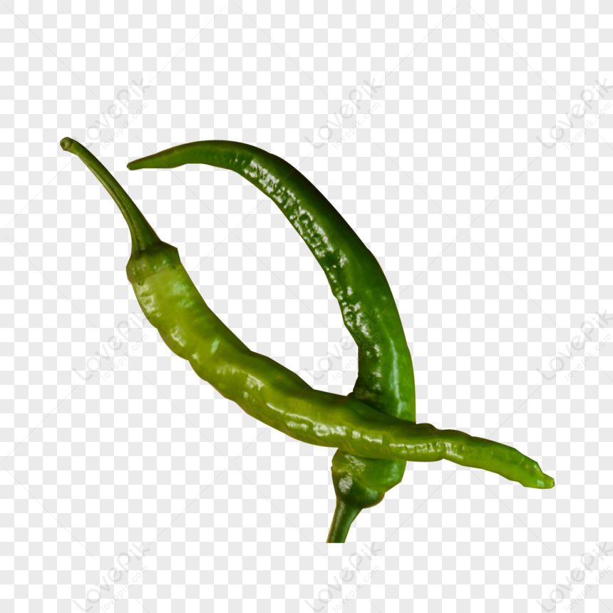 Green Pepper, Green Simple, Chili Pepper, Green Peppers Free PNG And ...