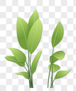 Green Plants PNG Images With Transparent Background | Free Download On ...