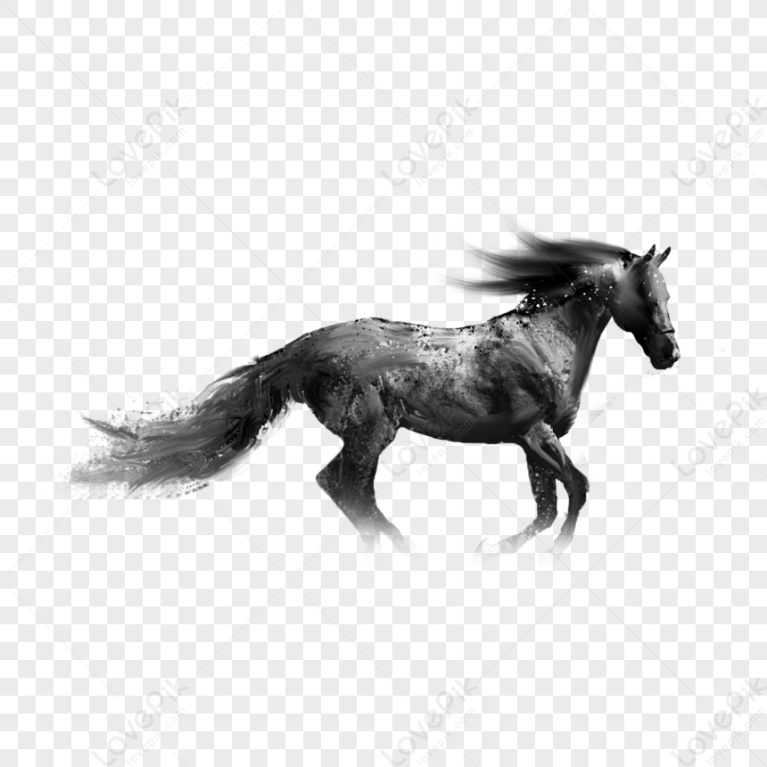 Hình hình ảnh Mực Vẽ Ngựa PNG Miễn Phí Tải Về - Lovepik