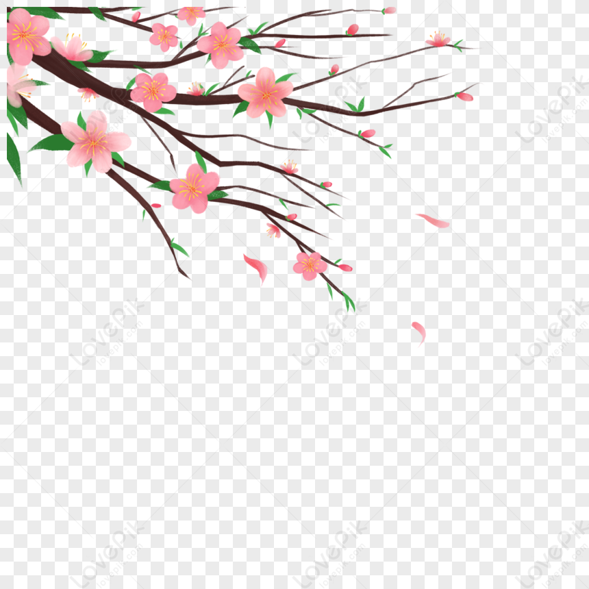Thiết kế đẹp vẽ cành cây mai trong phong cách tết