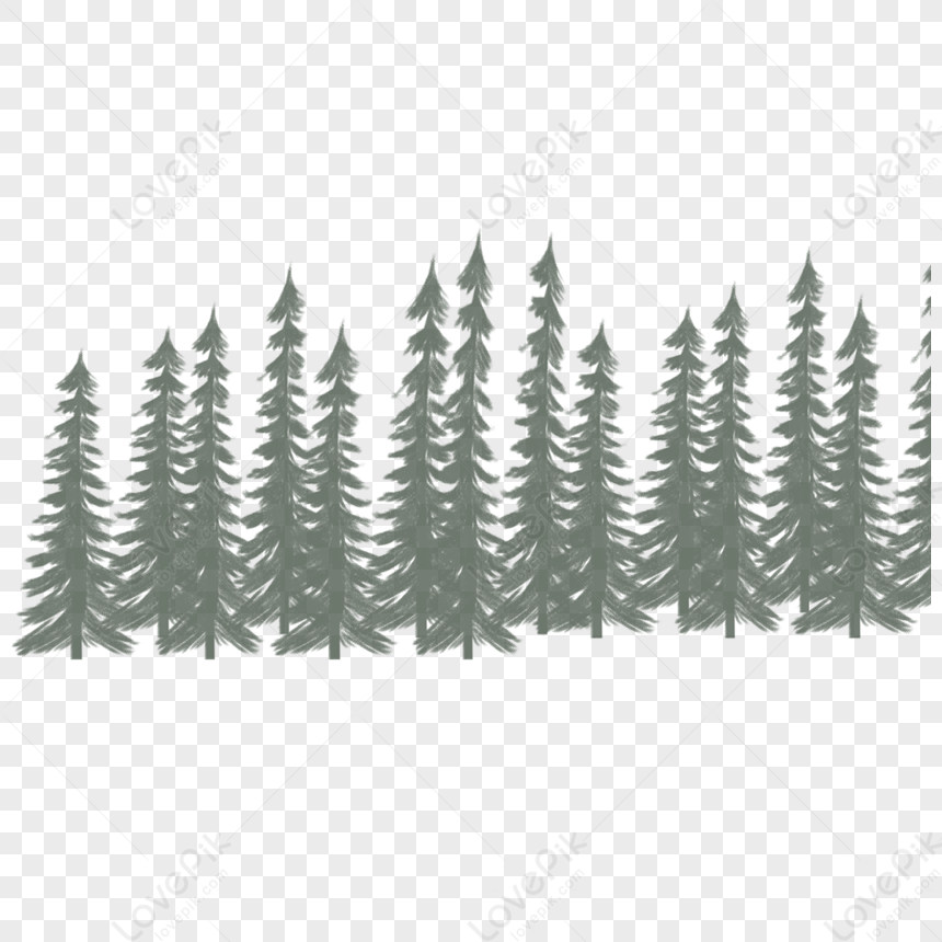 Pine Forest PNG Picture And Clipart Image For Free Download - Lovepik ...