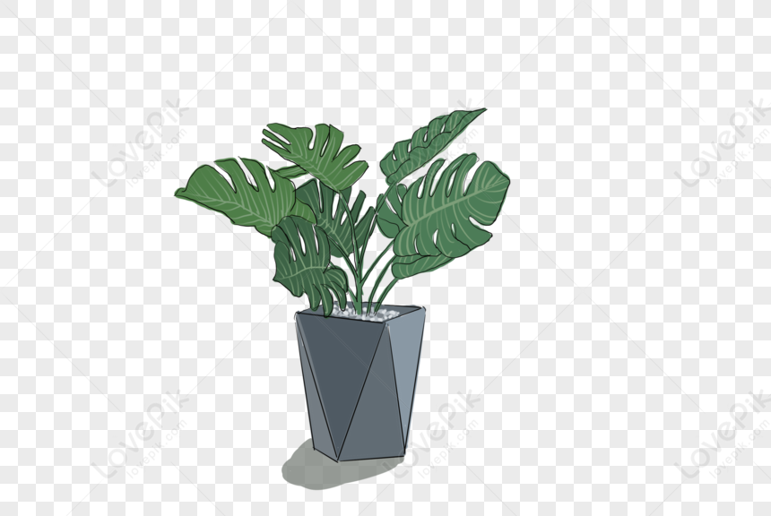 Aesthetic Plants Illustration Png Free PNG And Clipart Image For Free  Download - Lovepik | 401061099