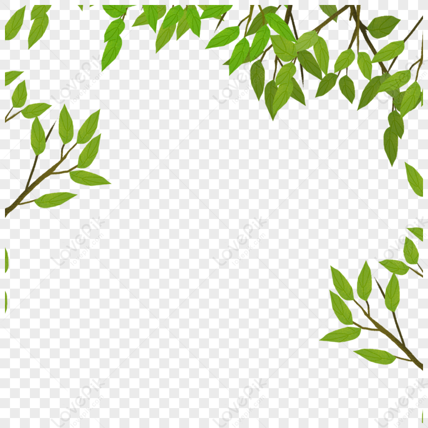 Branches And Leaves, Green Leaves, Leaves Lines, Leaves Vector PNG ...