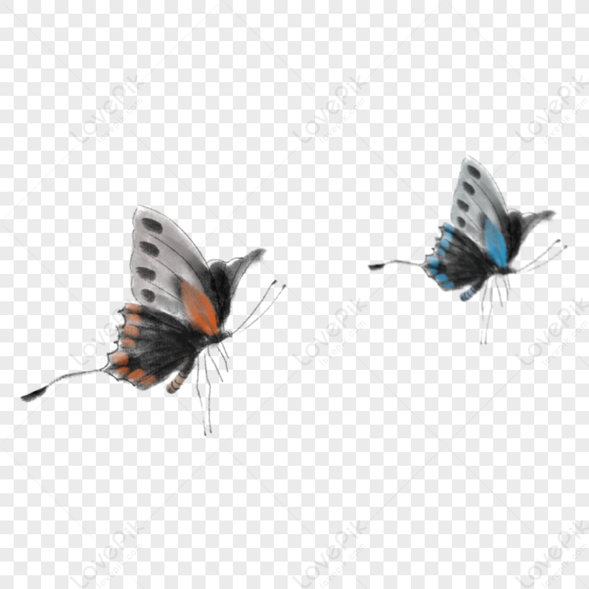 Butterfly, Dark Light, Chinese Painting, Butterfly Flying PNG ...