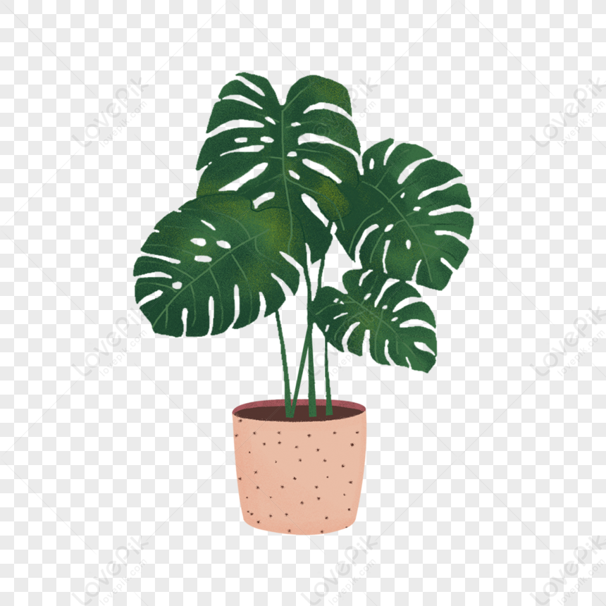 Cartoon Green Plant Element PNG Image Free Download And Clipart Image ...